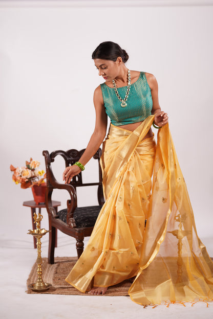 Mustard Yellow / Golden Yellow