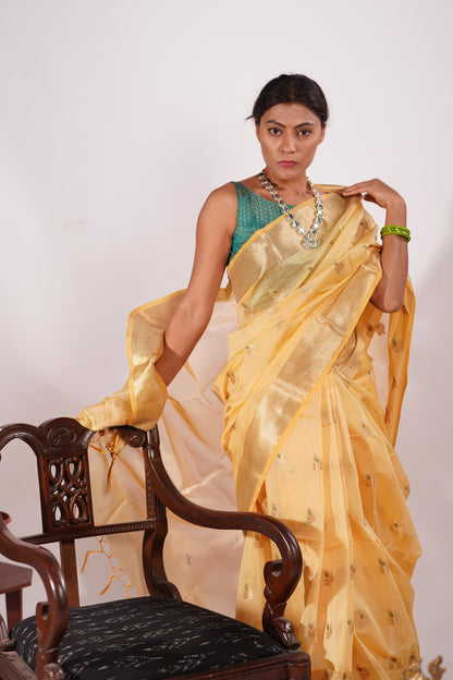 Mustard Yellow / Golden Yellow